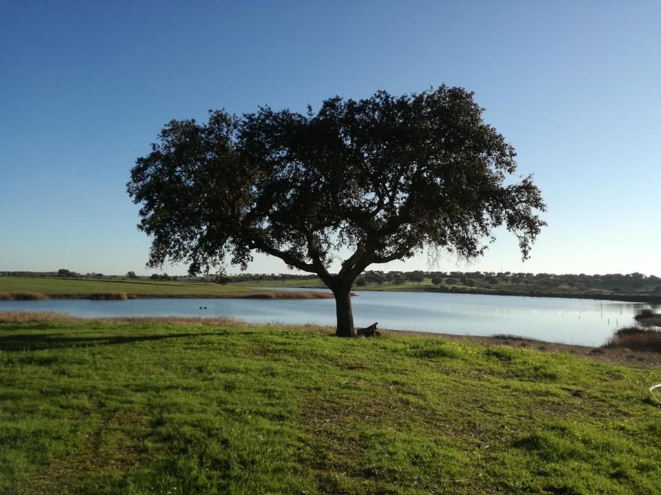 Monte Da Figueira Villa Amareleja Luaran gambar