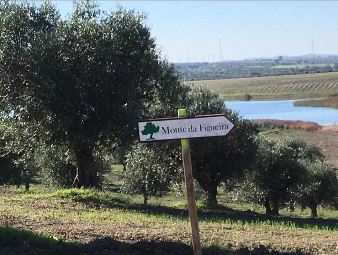 Monte Da Figueira Villa Amareleja Luaran gambar