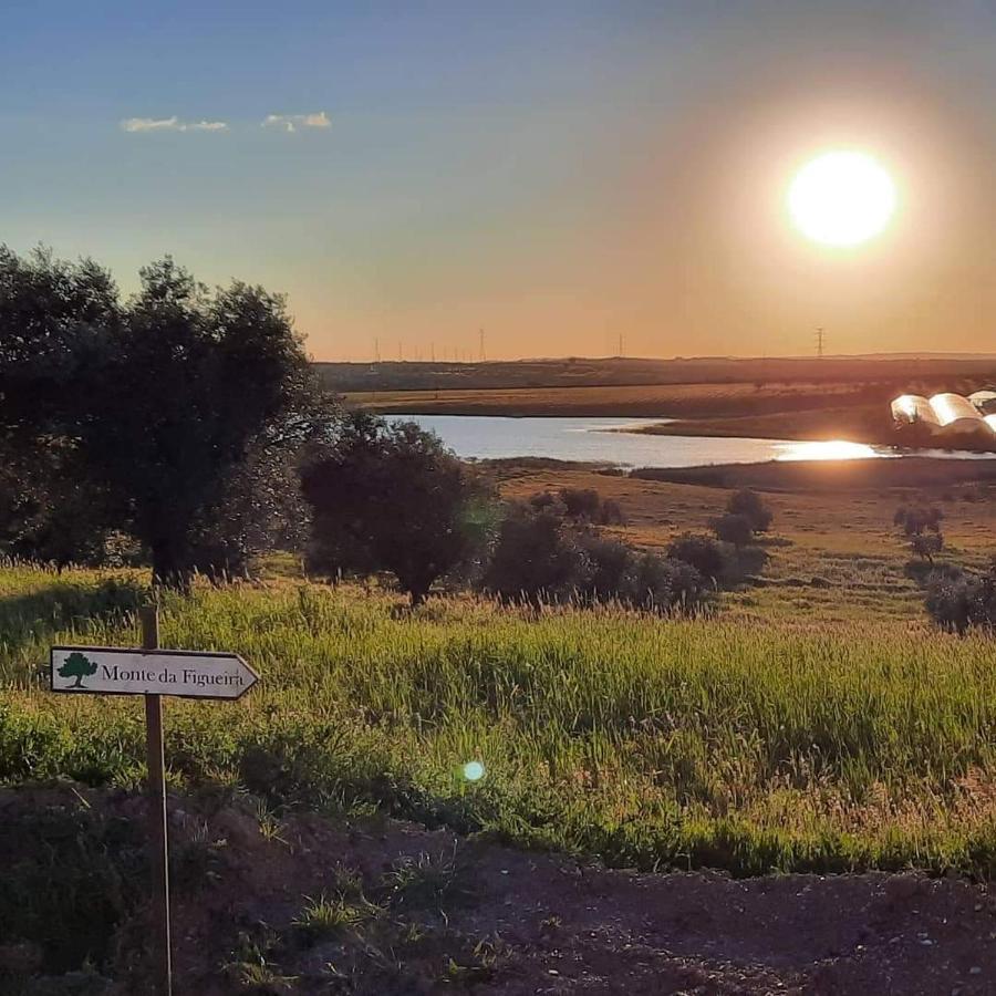 Monte Da Figueira Villa Amareleja Luaran gambar