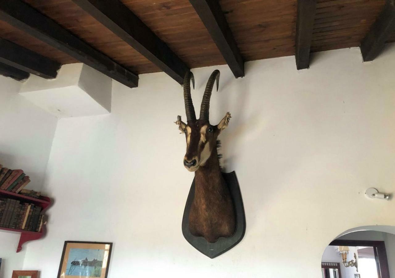 Monte Da Figueira Villa Amareleja Luaran gambar